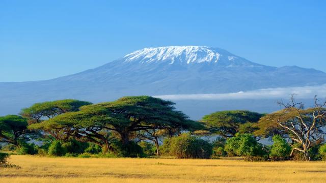 Tanzánia - Szafari Körutazás Üdüléssel Zanzibáron