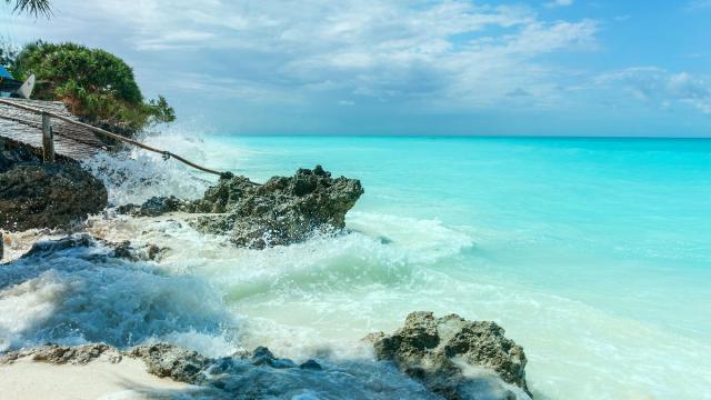 Tanzánia - Szafari Körutazás Üdüléssel Zanzibáron