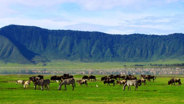 Tanzánia - Szafari Körutazás Üdüléssel Zanzibáron