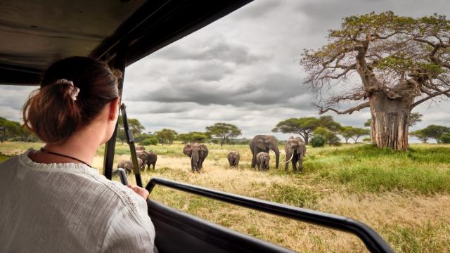 Tanzánia - Szafari Körutazás Üdüléssel Zanzibáron