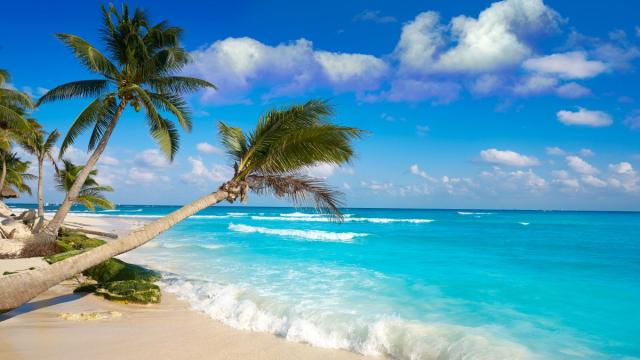 Playa del-Carmen.jpg
