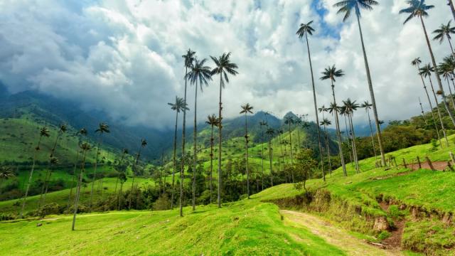 Kolumbia És Panama – A Kávé Útján