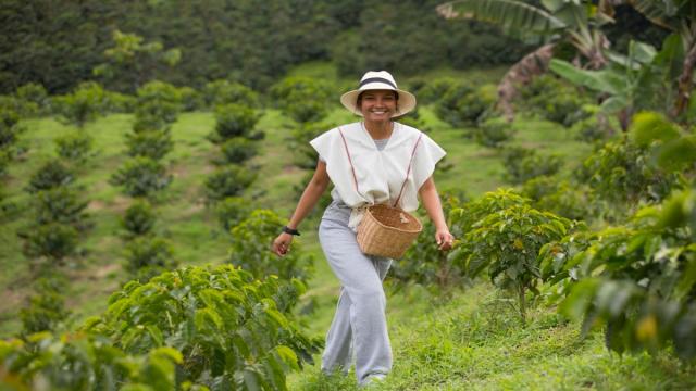Kolumbia És Panama – A Kávé Útján