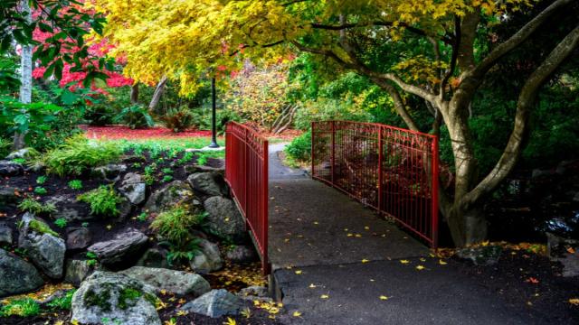 9- victoria-Beacon-Hill-Park.jpg
