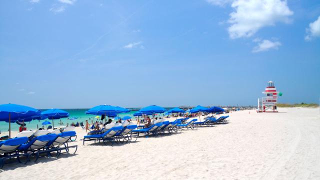 Miami Beach Varázsa - Art Basel Miami Beach