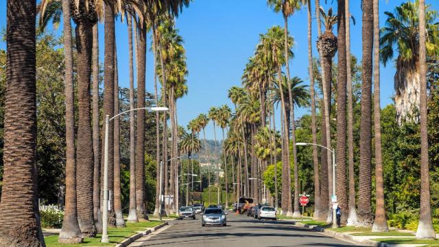 Kalifornia És Hawaii