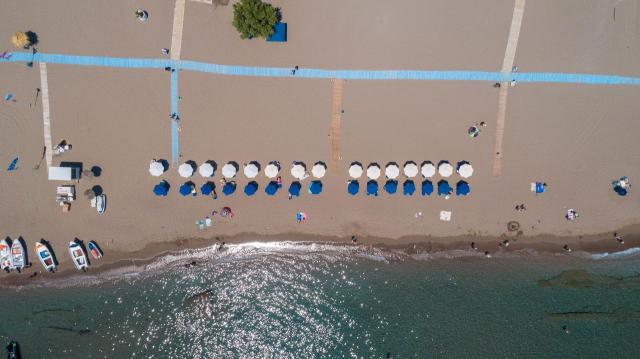Apollo Beach