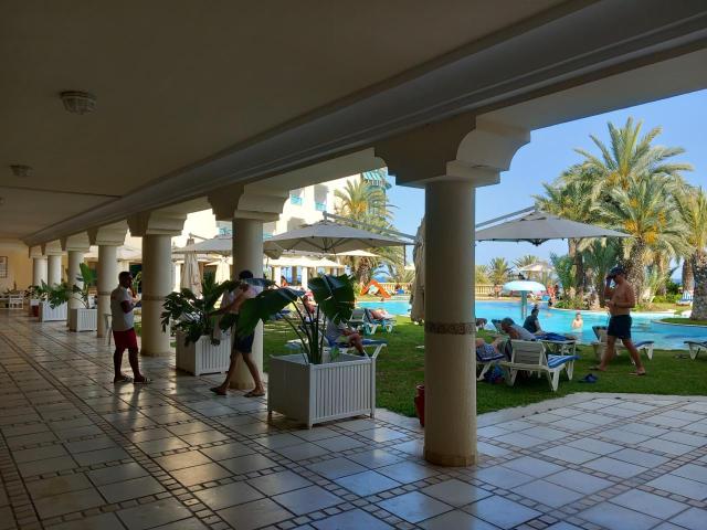 Mehari Hammamet