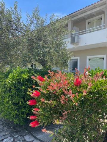 Alexandros Studios