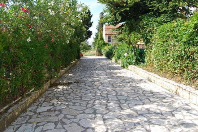 Alexandros Studios