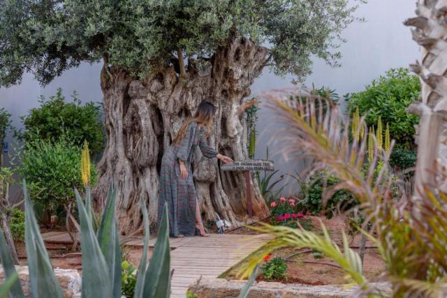 Lyttos Beach Hotel