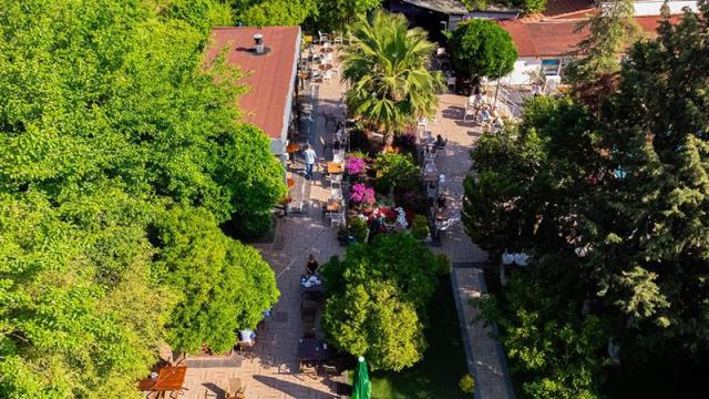 DG Hotels Rose Resort