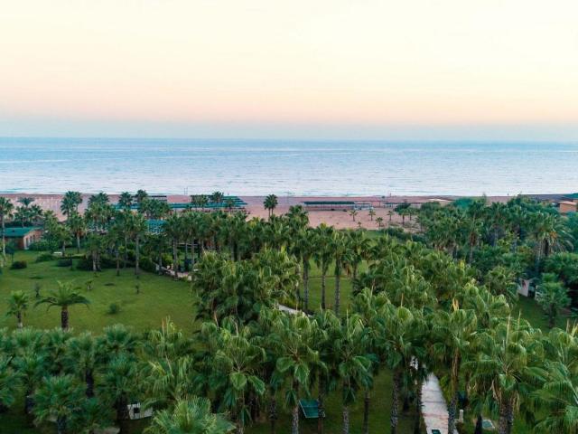 Royal Atlantis Beach