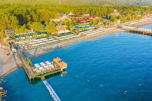 Gypsophila Club Marine