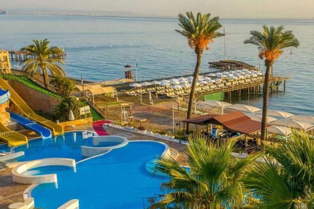 Gypsophila Club Marine