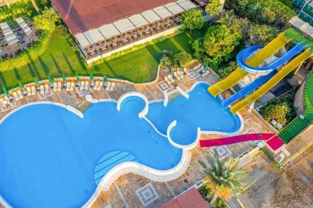 Gypsophila Club Marine