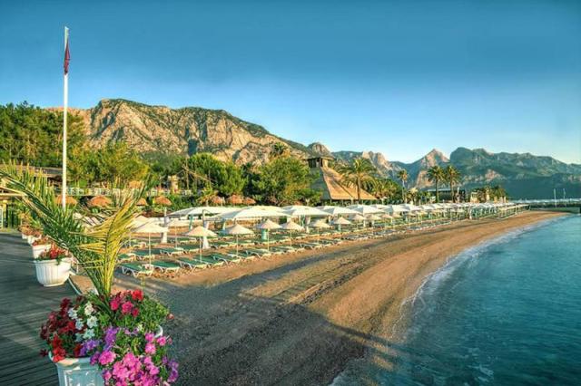 Gypsophila Club Marine