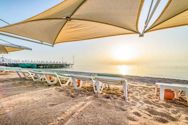 Gypsophila Club Marine