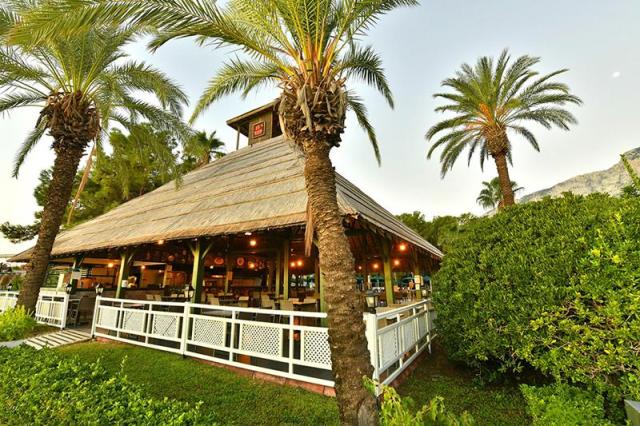 Gypsophila Club Marine