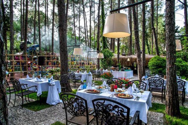 Gypsophila Club Marine