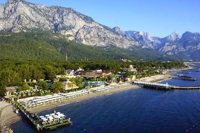 Gypsophila Club Marine