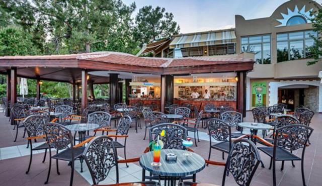 Gypsophila Club Marine