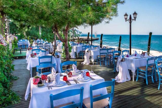 Gypsophila Club Marine