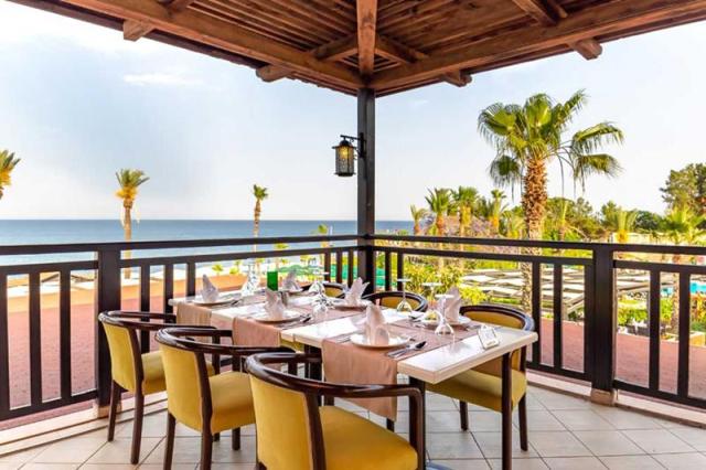 Gypsophila Club Marine