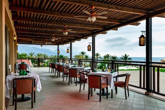 Gypsophila Club Marine