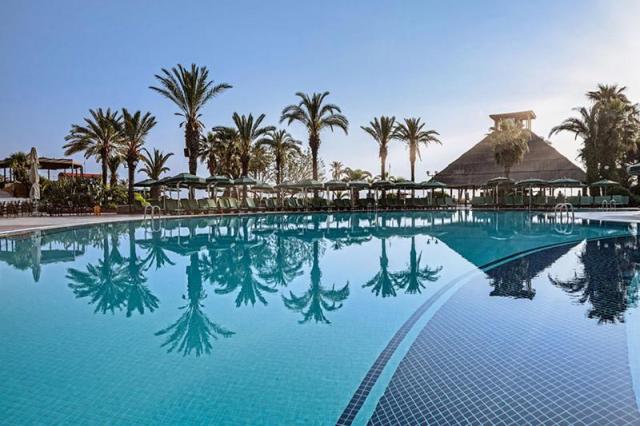 Gypsophila Club Marine