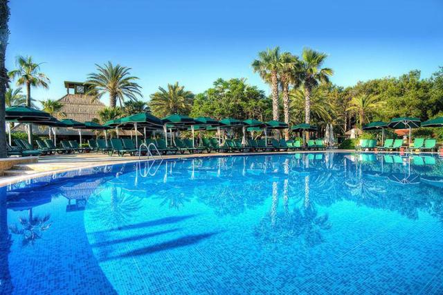 Gypsophila Club Marine