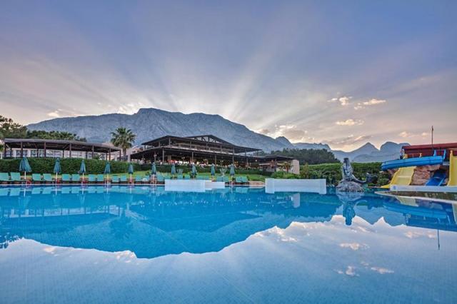 Gypsophila Club Marine