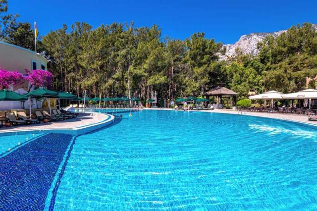 Gypsophila Club Marine