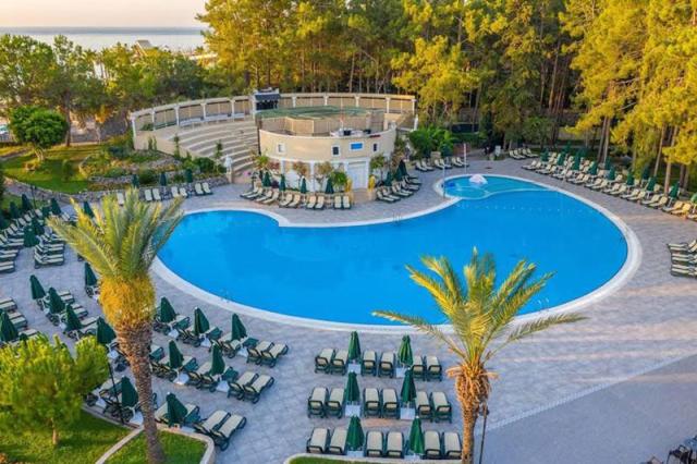 Gypsophila Club Marine