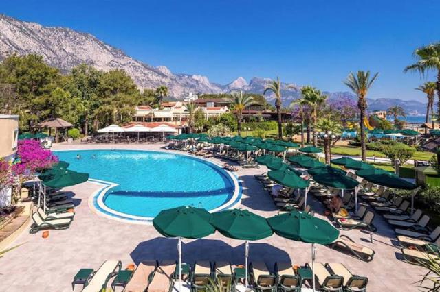 Gypsophila Club Marine