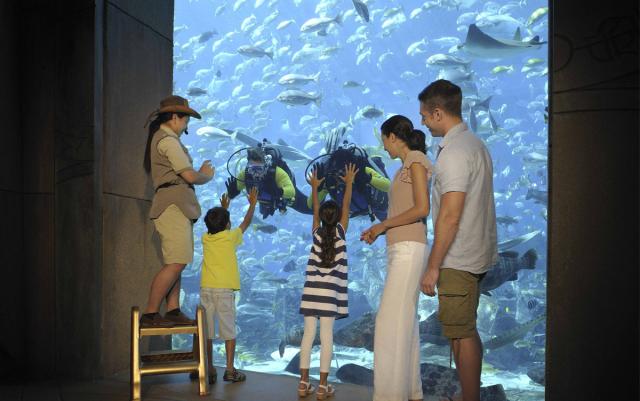 Atlantis The Palm