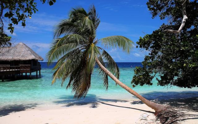 Bandos Island Resort & Spa