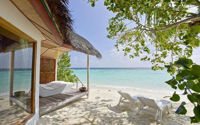 Safari Island