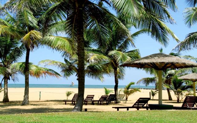 Goldi Sands