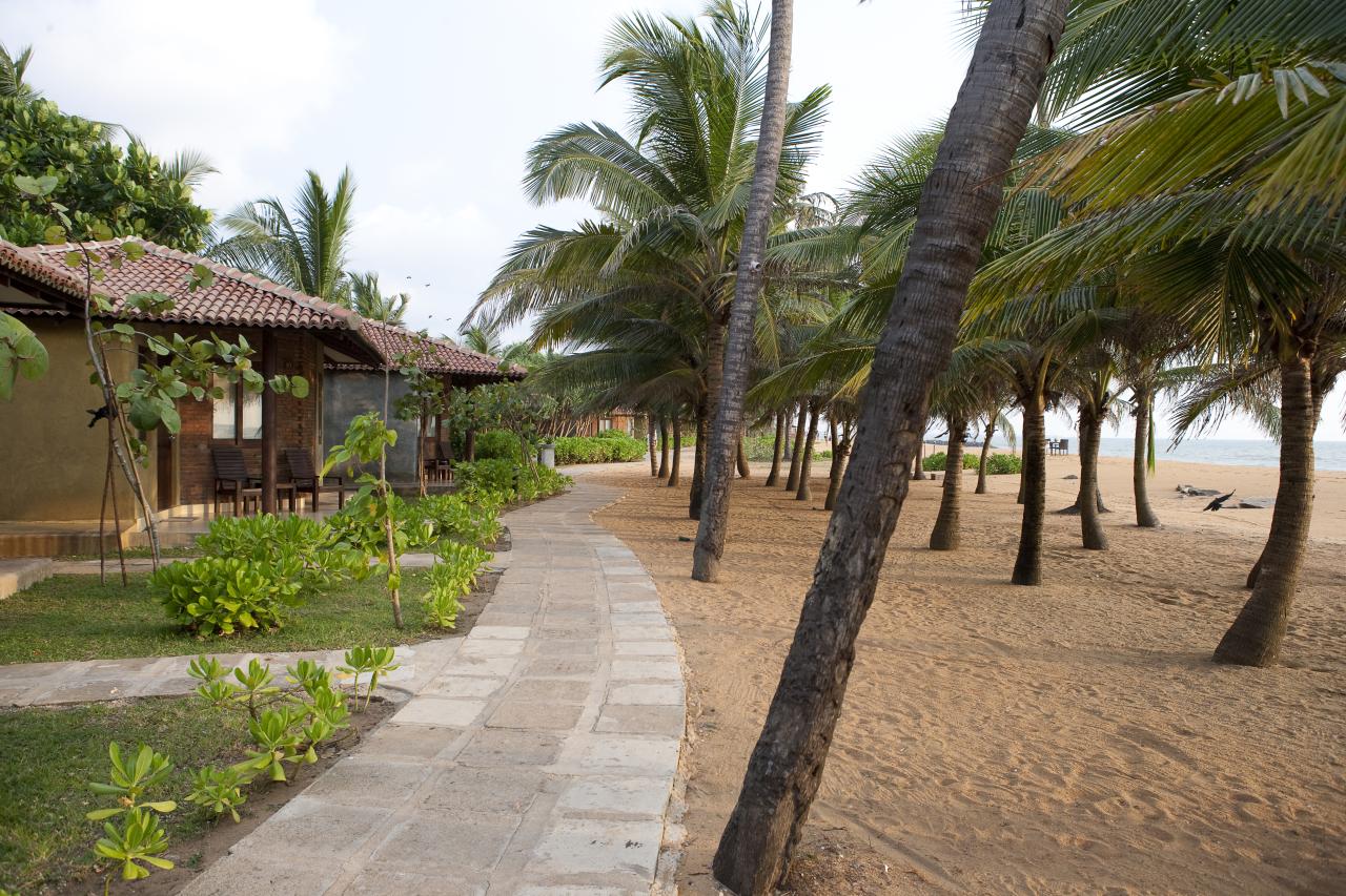 Club Hotel Dolphin