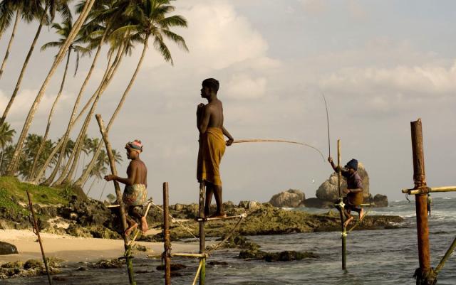 Srí Lanka körút  Maldív-szigetek / Fihalhohi Maldives