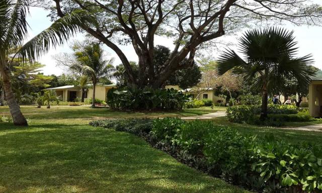 Anelia Resort & SPA