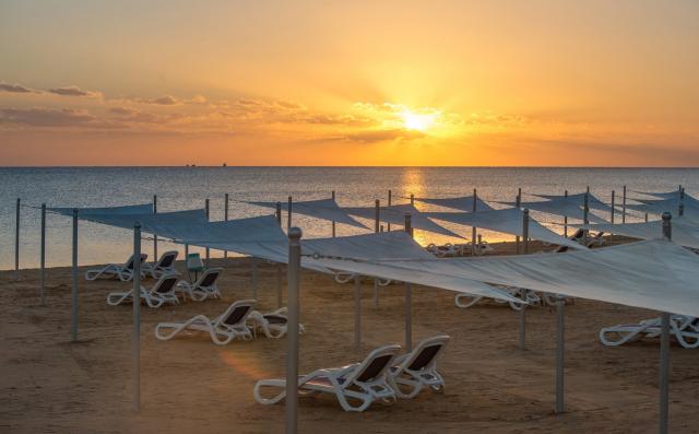 Gravity Sahl Hasheesh