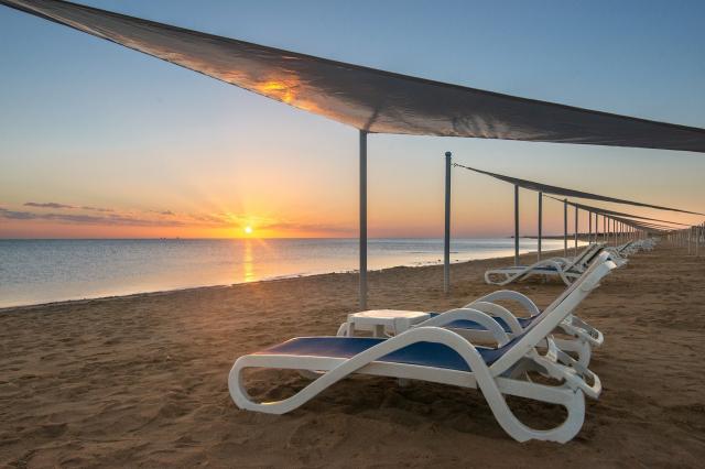 Gravity Sahl Hasheesh