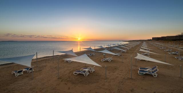 Gravity Sahl Hasheesh