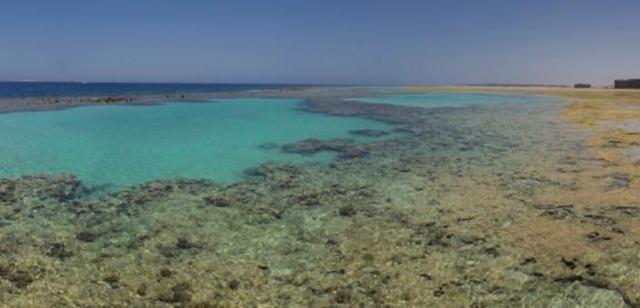 Gravity Sahl Hasheesh