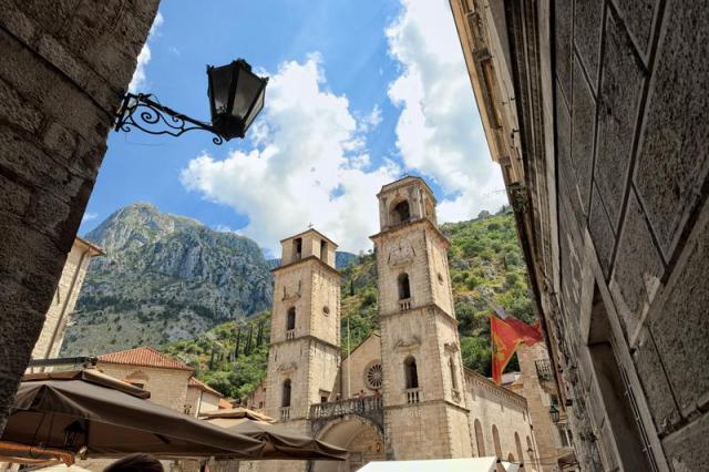 Olívaszüret Montenegróban