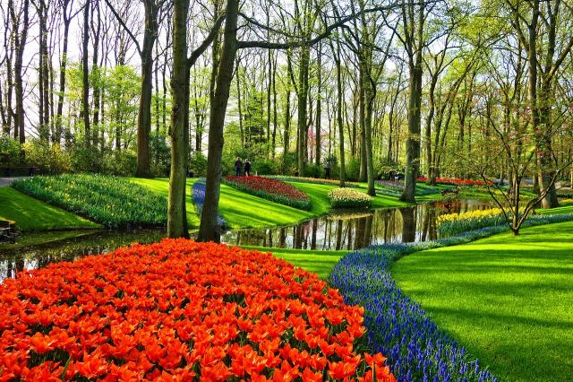 garden-3345970_1280