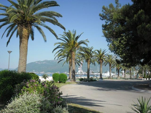 Porto Montenegro