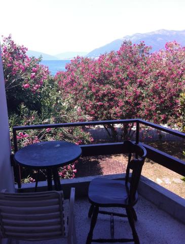 Hotel Kamelija - Tivat